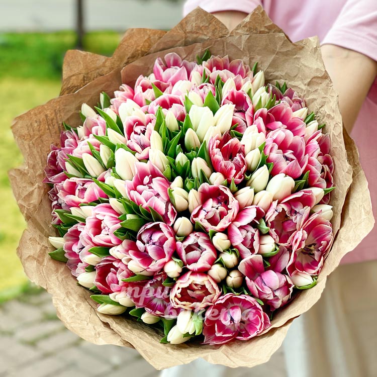 101 фиолетовый и белый тюльпан (вид сверху)