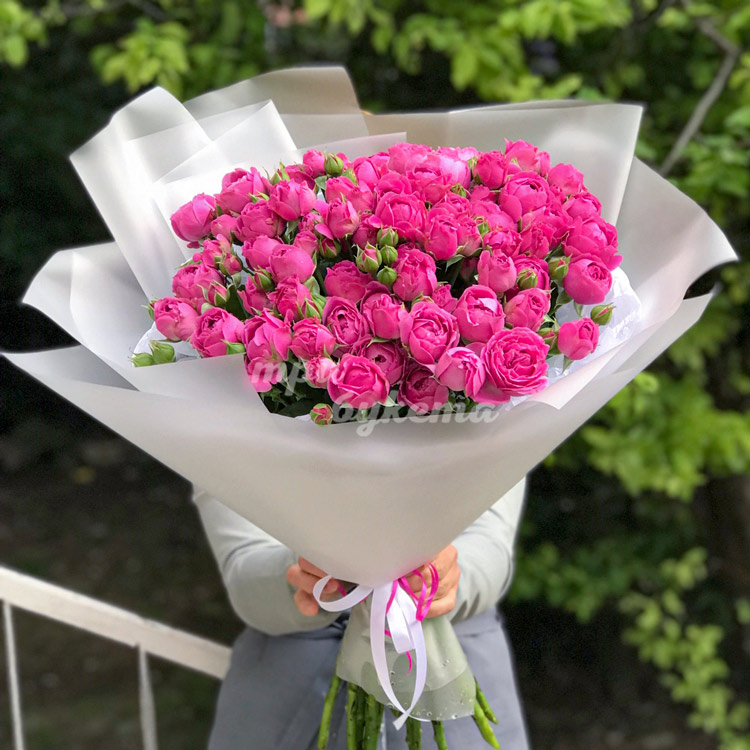 19 пионовидных кустовых роз (на фоне зелени)