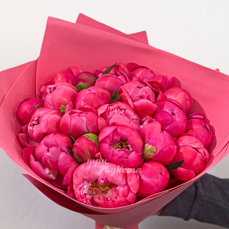 Пионы Корал Шарм Premium 25 шт. (крупный план)