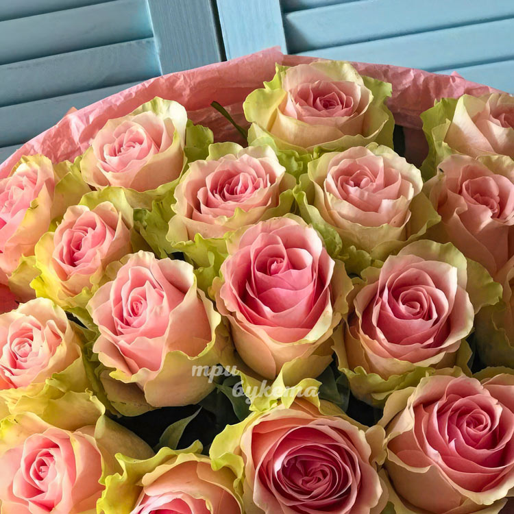 Букет из 17 розовых роз Эквадор (крупный план на цветы)