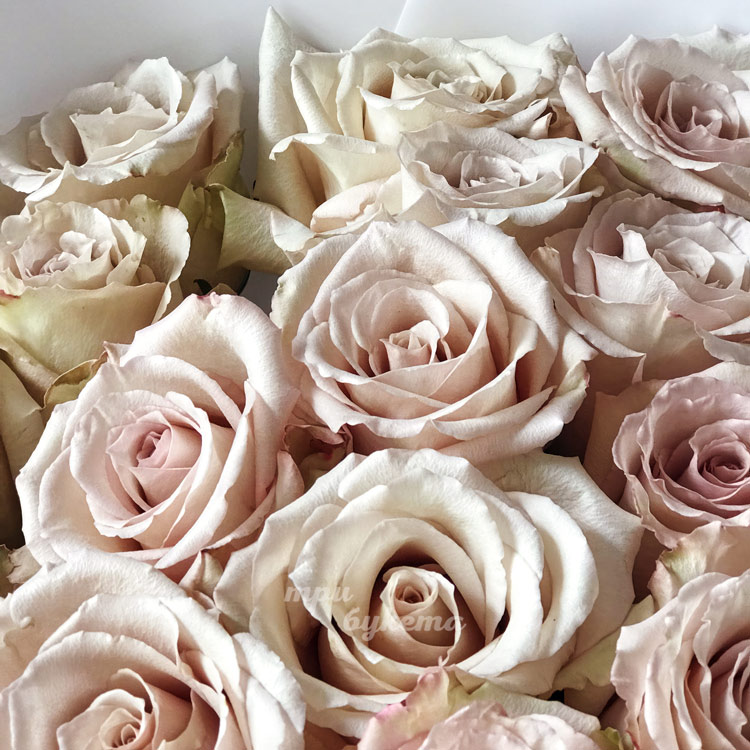 Букет из 25 роз сорта Квиксэнд (крупный план)